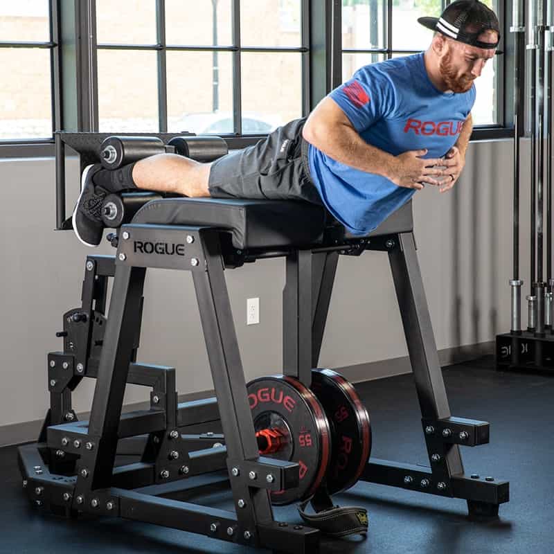 Get ready! The Rogue Donkey exercises guide reveals unexpected benefits and unmatched versatility for your workouts.